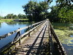der Elzsteg bei Wittenweier schafft eine Verbindung �ber die Elz zum Rhein, Sept.2016