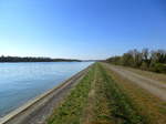 Blick flu�aufw�rts vom Rheindamm bei Marckolsheim/Elsa�, M�rz 2017