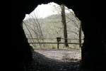 Nr. 66 - Wilhelmsblick. Der Wilhelmsblick ist ein Aussichtspunkt bei Tresburg. Vom Wilhelmsblick kann man die Bodeschleifen bei Tresburg sehr schn berblicken. Es ist eine der schnsten Aussichten in der Umgebung. Leider wchst er langsam zu. Der eigentliche Clou ist der Stollen, durch den der Wanderweg von der Strae zum Aussichtpunkt fhrt.