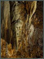 Detailaufnahme eines Tropfsteins in der Rákóczi-Höhle im Aggteleki Nemzeti Nationalpark.
