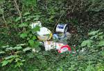 Naturbedrohung im  Kleinen . Illegale Müllentsorgung im Wald an der Burg Schweinheim - 02.07.2012