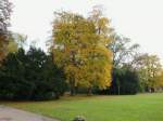 Blick in den Park an der Ilm im Weimar am 24.