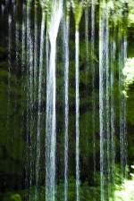 Wasserfall im Nationalpark Sächsische Schweiz.