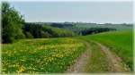 Frhlingshafte Landschaft fotografiert in der Nhe von Hoscheid-Dickt am 23.04.2011.