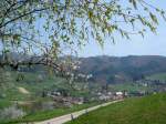 Frhling im Markgrflerland, Blick auf Sitzenkirch und die Ruine Sausenburg, April 2007