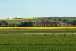 Felder im Frühling in der Voreifel bei Euskirchen - 16.04.2014