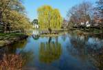 Trauerweide mitten im Schillerpark-Teich in Euskirchen - 27.03.2014