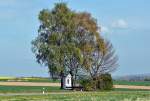 Einzelbaum mit  Heiligenhäuschen  (je nach Region u.a.