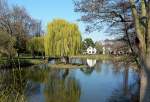 Trauerweide im Schillerpark in Euskirchen - 27.03.2014