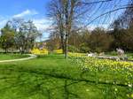 Bad Bellingen, Frühling im Kurpark, April 2018