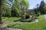 Freiburg, Frühling im Botanischen Garten, April 2022