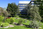 Freiburg, Frühling im Botanischen Garten, April 2022