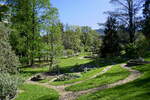 Freiburg, Frühling im Botanischen Garten, April 2022