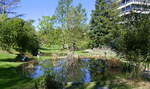 Freiburg, Frühling im Botanischen Garten, April 2022