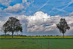 Wiese-Bäume-Rapsfeld-Wolken bei Euskirchen - 05.05.2023