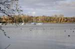 Herbst am Zlpicher See, Segelboote schon im  Winterschlaf  - Zlpich 06.11.2009