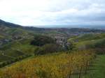 Blick auf die herbstlichen Weinberge 
bei Durbach/Ortenau,
