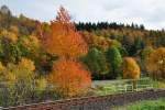 Herbststimmung im Wald bei Bad Mnstereifel - 30.10.2010