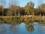 Sich im Teich spiegelnde Bume am 31.10.2011 hinter dem Aachener Klinikum.