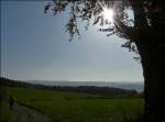 Herbstspaziergang in Kaundorf.