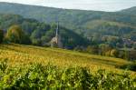 Goldener Oktober an der Elser Weinstrae bei Andlau, Okt.2012