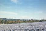 Verschneite Felder und bunte Bume, so sah es nach dem Wintereinbruch im Oktober 2012 aus.