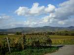 Blick zum herbstlichen Kaiserstuhl vom Tuniberg aus, Okt.2008