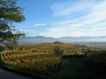 Herbst am Tuniberg, Blick zur Erentrudiskapelle, im Hintergrund die Schwarzwaldberge, Nov.2005