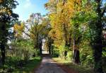 Herbstweg bei der Burg Ringsheim - 10.10.2012