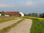 Geschwungener Karrenweg fhrt in herbstlicher Landschaft direkt zum nchsten Gehft; 131013