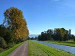 Herbststimmung an der Dreisam bei Neuershausen, im Hintergrund der Schwarzwald, Okt.2013