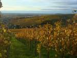 Blick über die herbstlichen Weinberge des Markgräflerlandes zum Weinort Kirchhofen, am Horizont die Vogesen, Nov.2010