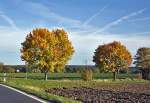 Herbstbume bei Euskirchen - 20.10.2013