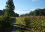 Herbstmorgen am Marchhgel in der Rheinebene, Okt.2014