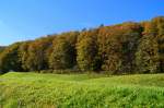 Herbstwald im Tiroler Unterinntal am 2.
