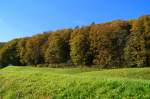 Herbstwald im Tiroler Unterinntal am 2. November 2014 in der Nähe von Breitenbach am Inn.