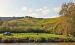 . Luxemburg/Wellenstein (ltzebuergesch: Welleschten) - Die herbstlichen Weinberge von der MS Marie Astrid aus gesehen. 19.10.2014 (Jeanny)