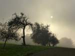 die Sonne hat es schwer im Kampf mit den Herbstnebeln in der Rheinebene, Okt.2015