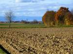 Herbststimmung in der Rheinebene, im Hintergrund der Ort Eschbach, am Horizont die Vogesen, Nov.2015