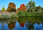 Herbstbäume und See im Freizeitpark Rheinbach - 16.10.2016