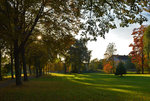 Herbstbäume im Abend-/Gegenlicht in der Erftaue Euskirchen - 29.10.2016