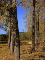 Kaiserstuhl, Herbst im Liliental, mit Blick zum Fernsehturm auf dem 557m hohen Totenkopf, Okt.2010