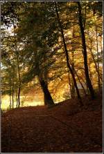 Herbst im Schnherrpark in Chemnitz. Aufgenommen am 20.10.07.