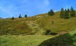 Am Wiedersberger Horn im Alpbachtal.