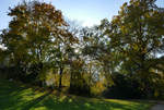 Sonne im Gegenlicht durch die Bäume im Kurpark Bad Neuenahr - 10.11.2019