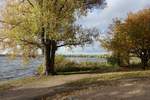 Bunter Herbst in Hamburg an der Außenalster am 28.10.2020 /