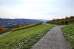 Markgräflerland, herbstlich gefärbte Weinberge am Tüllinger Berg, der letzte süd-westliche Ausläufer der Schwarzwaldberge, in unmittelbarer Nähe zur Schweizer und