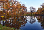 Teich an der Burg Schweinheim im herbstlichen Abendlicht - 20.11.2020