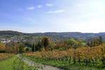 Herbststimmung am Tüllinger Berg bei Lörrach, Okt.2020