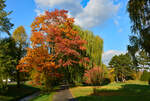 Altes Herbstbild in der Erftaue Euskirchen - 29.10.2016.